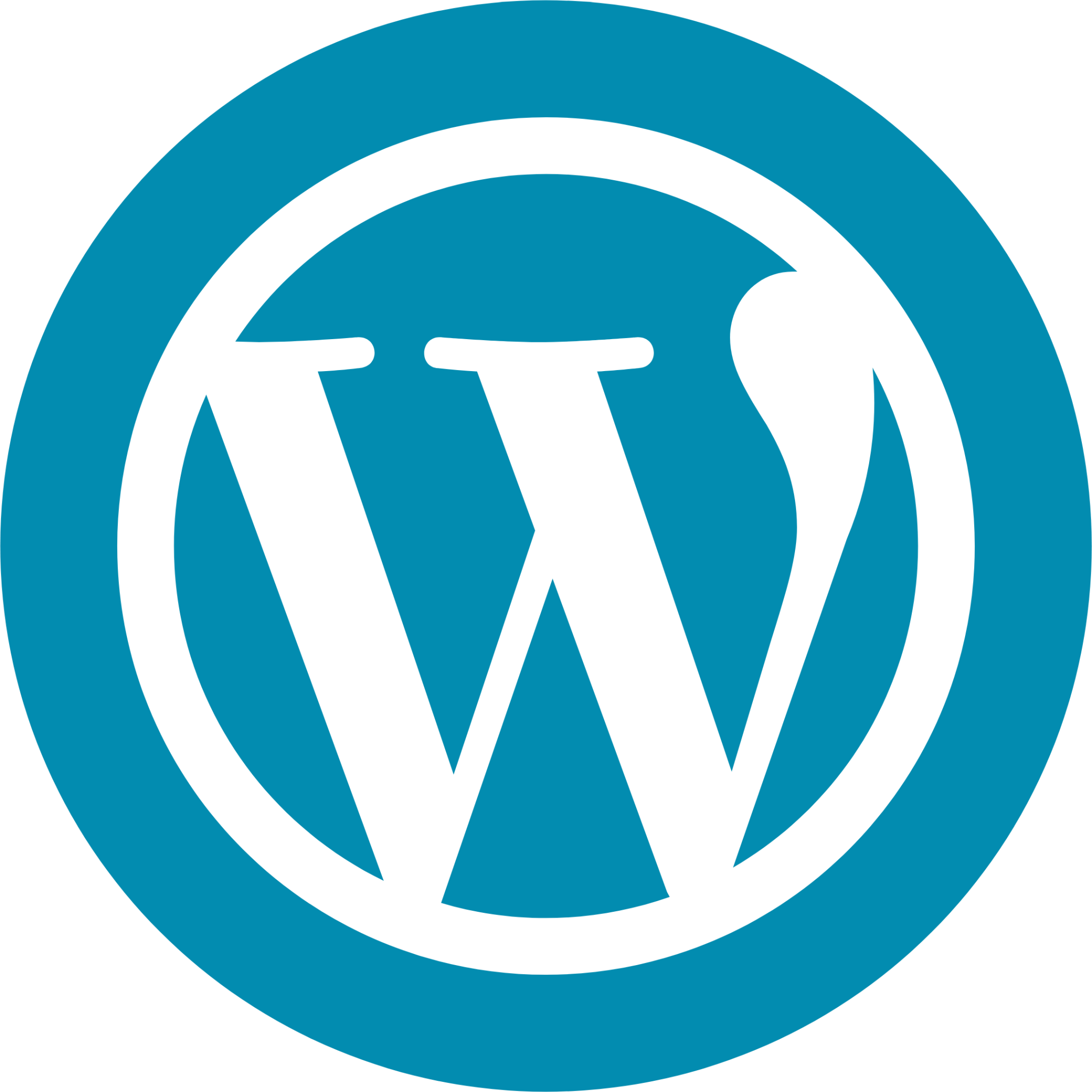 WordPress Themes